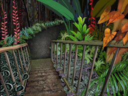Tropical Stairs to Gardens
