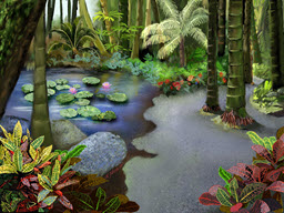 Tropical Lotus Pond