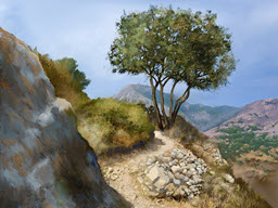 Rocky Path