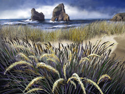Seagrass Beach